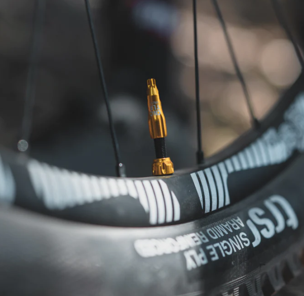 Lezyne, TLR, Tubeless Valve, Presta, 44mm, Gold - Image 3